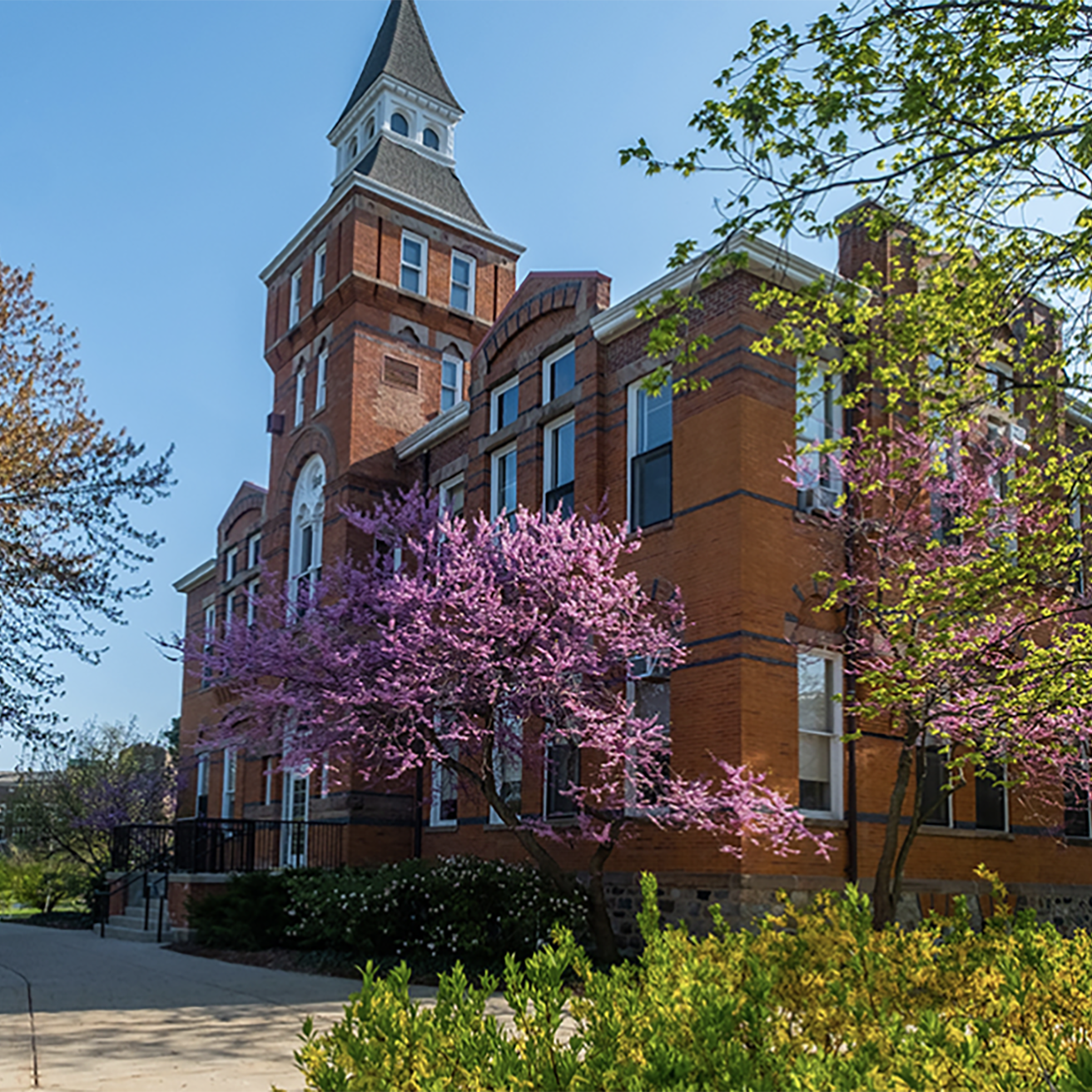 Michigan State University campus